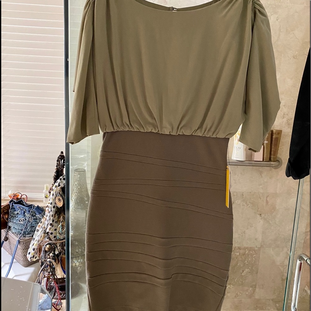 Alice & Olivia Silk Dolman Sleeve Dress NWT SZ 4